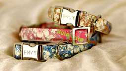 Glow In The Dark Dog Collar by Envy