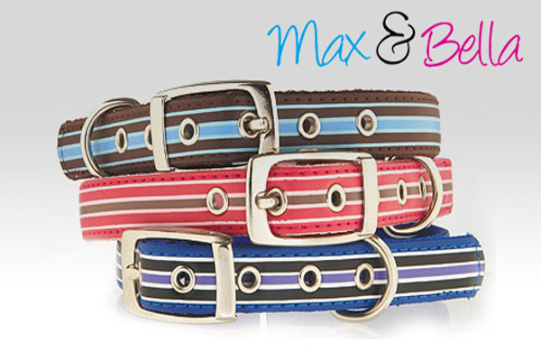 Max & Bella Street Stripe Dog Collar
