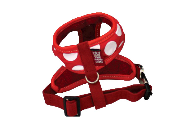 Red Polka Dot Harness - Small