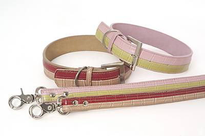DOGUE Two Tone Lead