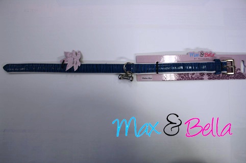Max & Bella Cool Brights Dog Collar