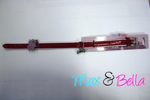 Max & Bella Cool Brights Dog Collar