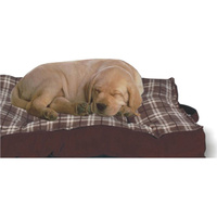 Medium Samson Dog Bed