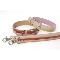 DOGUE Two Tone Collar